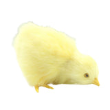 Chick Plush Toy